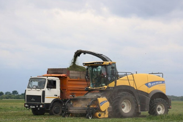 Кобринщина — земля традиций, труда и верности истории!